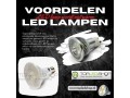 de-duurzame-voordelen-led-lampen-heeft-geen-giftige-kwikdamp-small-0