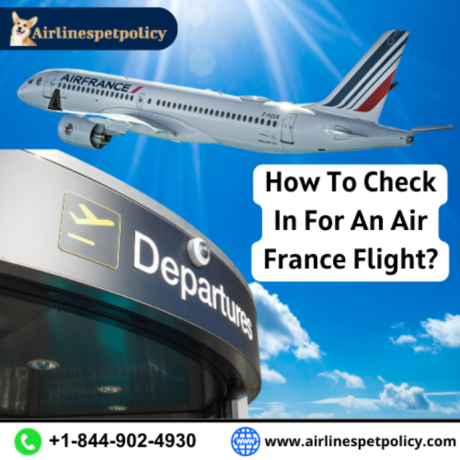 how-to-check-in-for-an-air-france-flight-big-0