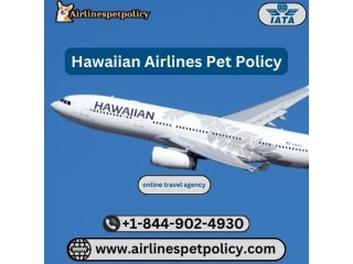 Do Hawaiian Airlines Allow Pets To Fly?