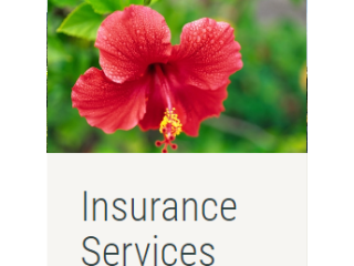 Life Insurance Agent in Kauai, Hawaii