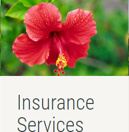 life-insurance-agent-in-kauai-hawaii-big-0