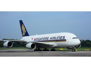 How can I speak to someone on Singapore Airlines?