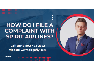 How do i file a formal complaint with Spirit Airlines