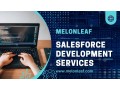empower-your-business-with-melonleafs-salesforce-development-services-small-0