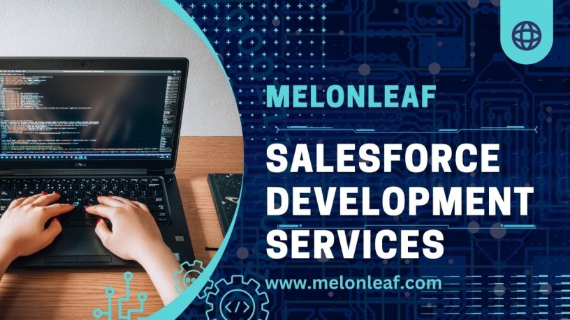 empower-your-business-with-melonleafs-salesforce-development-services-big-0