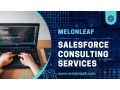 melonleafs-salesforce-consulting-services-elevating-your-crm-strategy-to-new-heights-small-0