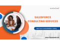 melonleafs-salesforce-consulting-services-elevate-your-crm-strategy-small-0