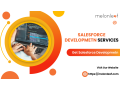 salesforce-development-services-melonleaf-small-0