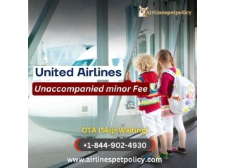 How much is the United Airlines unaccompanied minor fee?