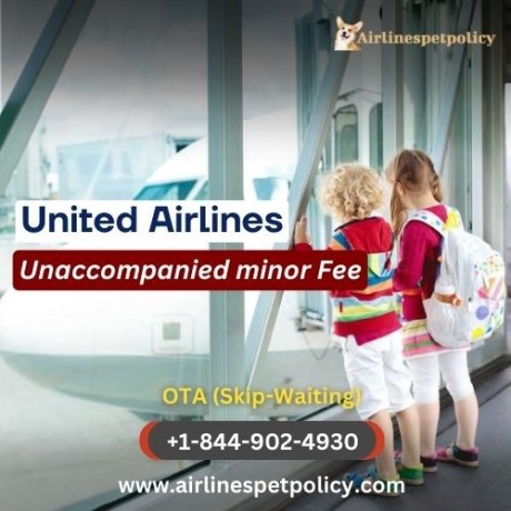 how-much-is-the-united-airlines-unaccompanied-minor-fee-big-0