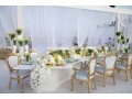 party-tent-and-table-rentals-in-houston-small-0