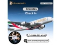 how-do-i-check-in-for-my-emirates-flight-small-0