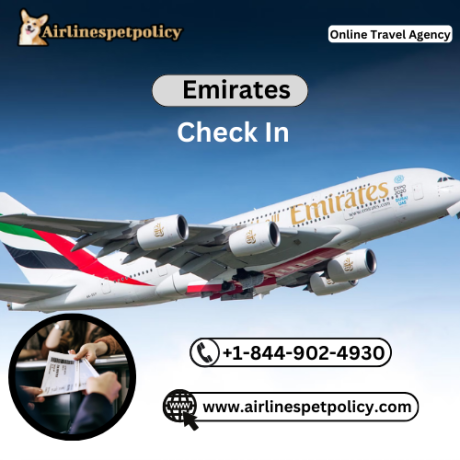 how-do-i-check-in-for-my-emirates-flight-big-0