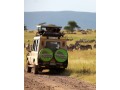 elevate-your-wanderlust-with-gondwana-ecotours-small-0