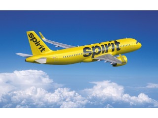 How do I speak to a live person at Spirit Airlines?