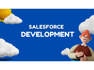 Maximizing Business Potential with Salesforce Development Services