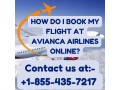 avianca-airlines-booking-phone-number-from-medellin-1-855-435-7217-small-0