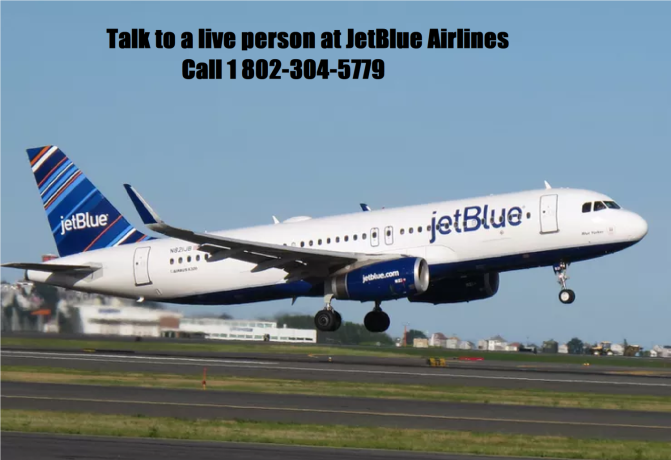 how-do-i-contact-a-jetblue-representative-big-0