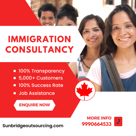 sunbridge-outsourcing-best-immigration-consultants-in-delhi-big-0