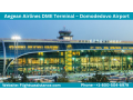 aegean-airlines-dme-terminal-domodedovo-international-airport-small-0