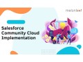 melonleaf-offer-services-for-implementing-salesforce-community-cloud-small-0