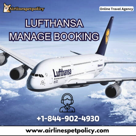 how-can-i-manage-my-lufthansa-booking-big-0