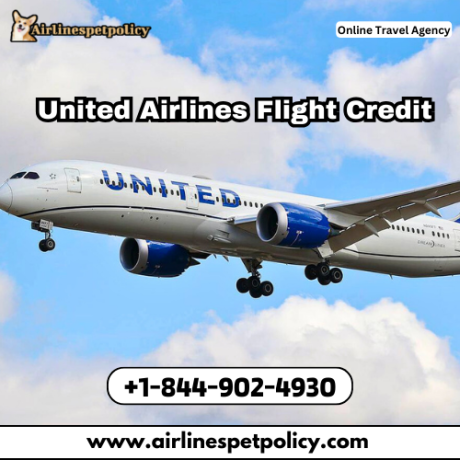 how-do-i-get-a-united-airlines-flight-credit-big-0