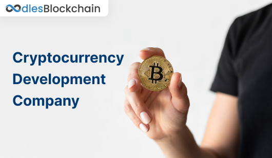 cryptocurrency-development-company-oodles-blockchain-big-0