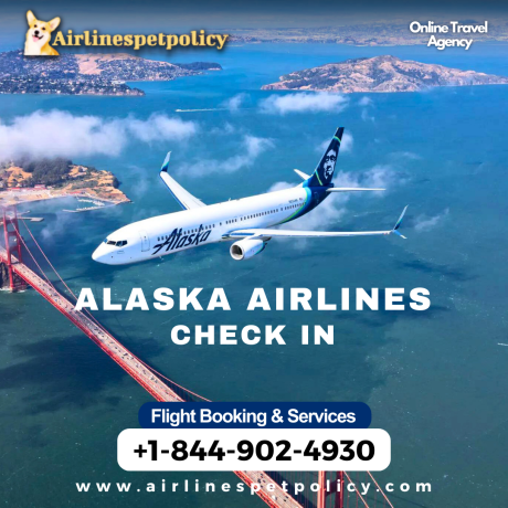 how-early-can-you-check-in-for-alaska-airlines-big-0