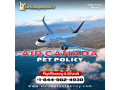 can-i-bring-my-pet-on-an-air-canada-flight-small-0