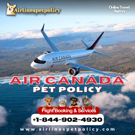 can-i-bring-my-pet-on-an-air-canada-flight-big-0