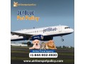 what-is-jetblue-pet-policy-small-0