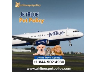 What is Jetblue Pet Policy