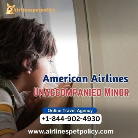 how-to-book-an-unaccompanied-minor-flight-on-american-airlines-big-0