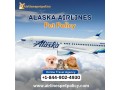 what-is-the-pet-policy-for-alaska-airlines-small-0