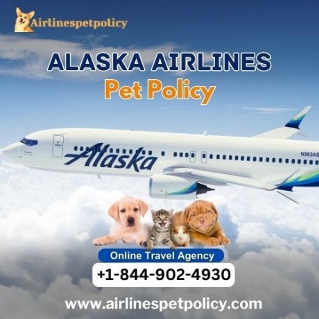 what-is-the-pet-policy-for-alaska-airlines-big-0