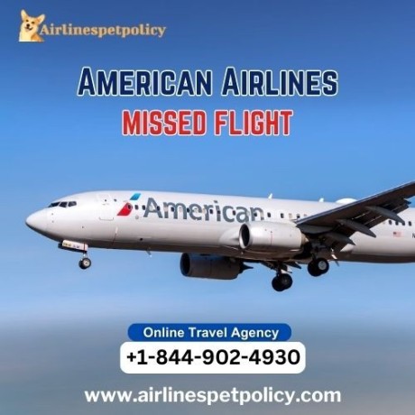 what-to-do-if-you-miss-your-american-airlines-flight-big-0