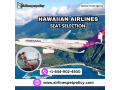 how-do-i-select-my-seat-on-a-hawaiian-airlines-flight-small-0