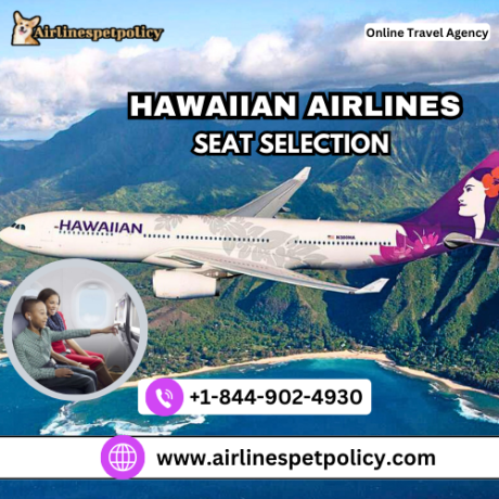 how-do-i-select-my-seat-on-a-hawaiian-airlines-flight-big-0