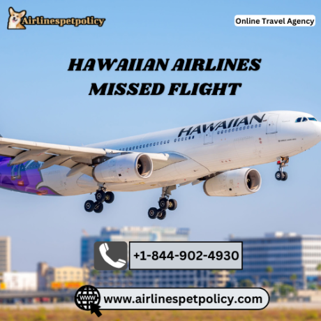 what-happens-if-you-miss-a-hawaiian-airlines-flight-big-0