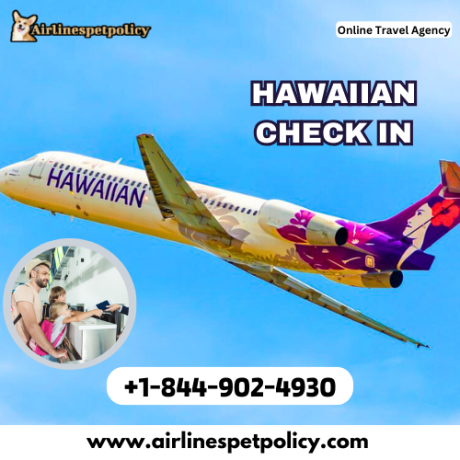 how-do-i-check-in-for-hawaiian-airlines-flights-big-0