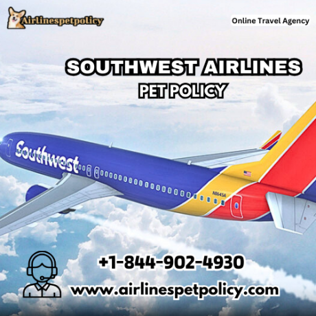 what-is-southwest-airlines-pet-policy-big-0