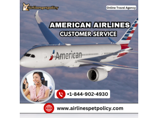 How can I talk to customer service at American Airlines?