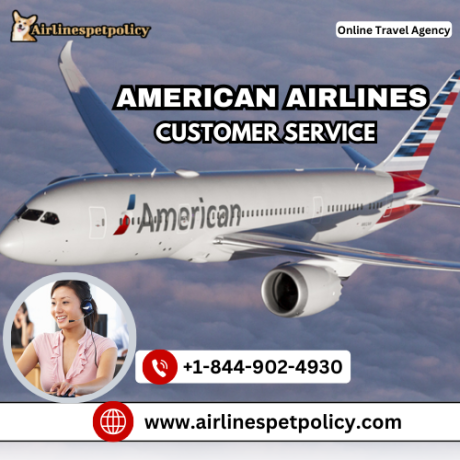 how-can-i-talk-to-customer-service-at-american-airlines-big-0