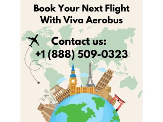 What Is The Pet Policy of Viva Aerobus?