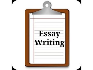 Essay Writing Services USA