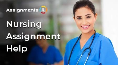 nursing-assignment-help-available-now-whatsapp-12065695756-big-0