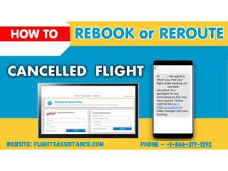 Rebooking Your Flight Could Save You MoneyHeres How