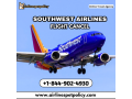 how-can-i-cancel-my-southwest-airlines-flight-small-0