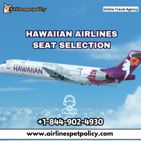 how-to-choose-seats-on-hawaiian-airlines-big-0